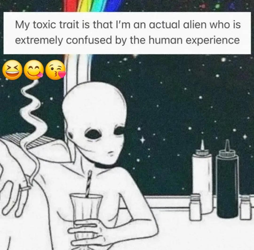 @Lauren Lotus