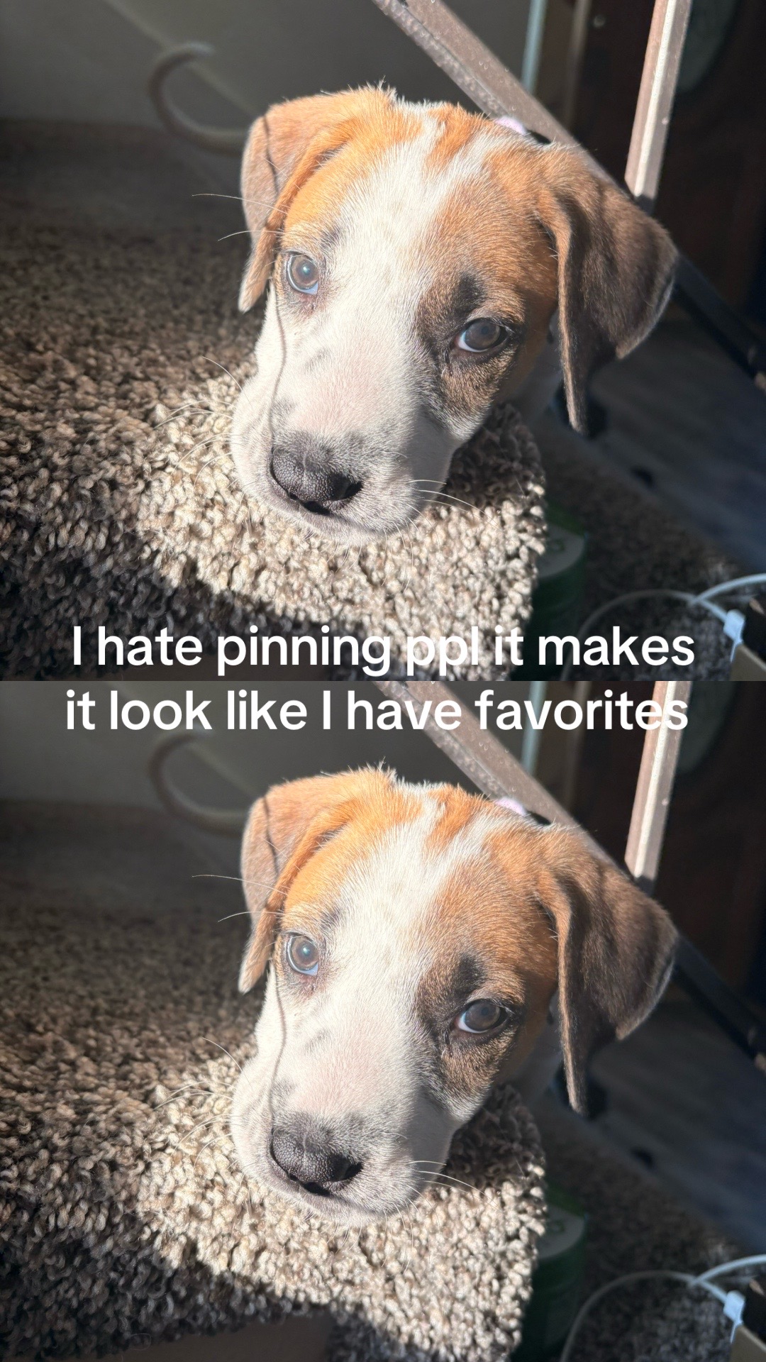 @✧༺SC𖤐R༻✧