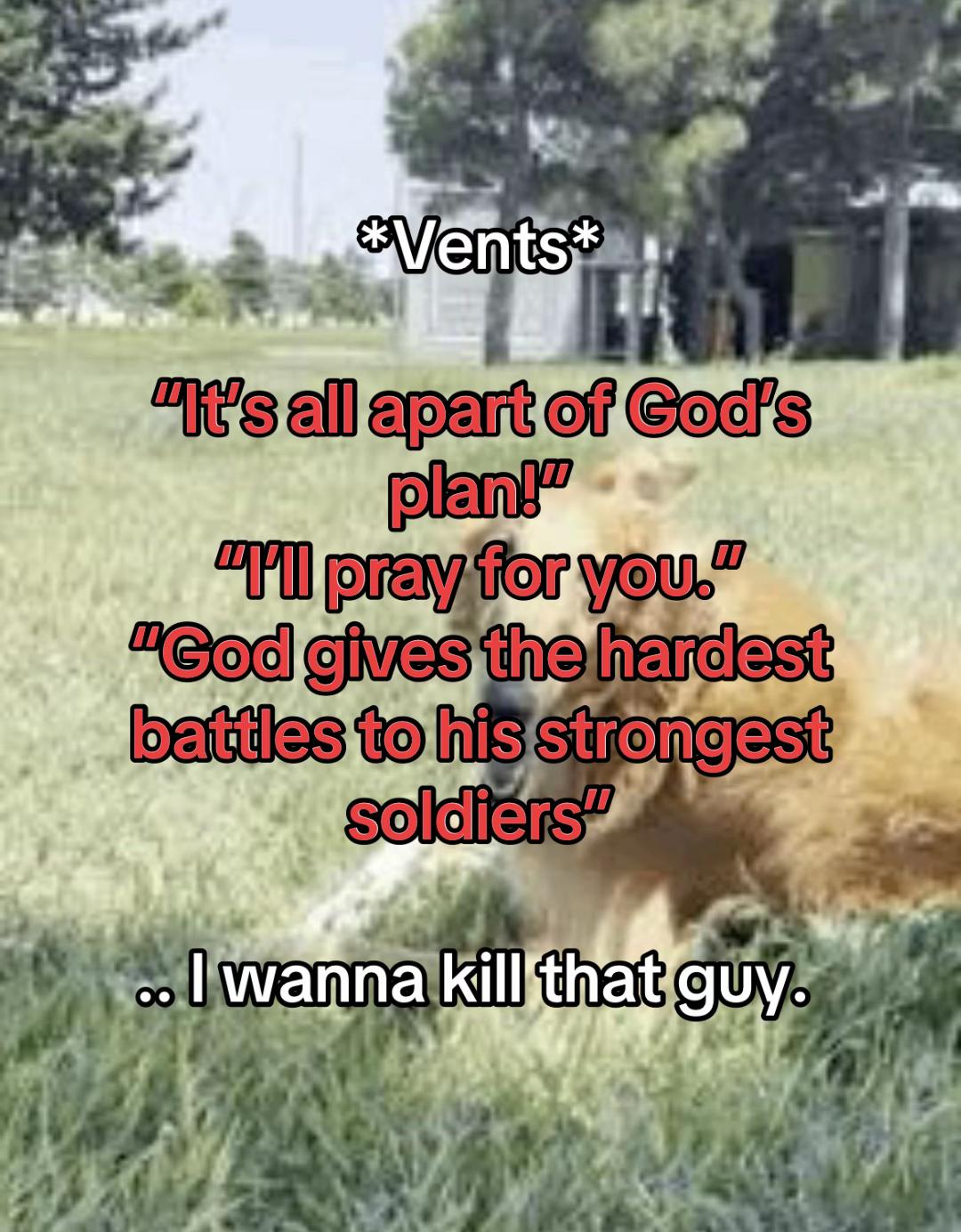 @ThatBatGuy