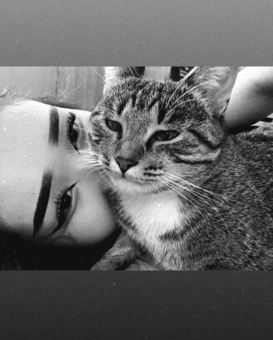@𝒜𝓃𝓏𝒽ℯ𝓁𝒾𝓀𝒶🎀