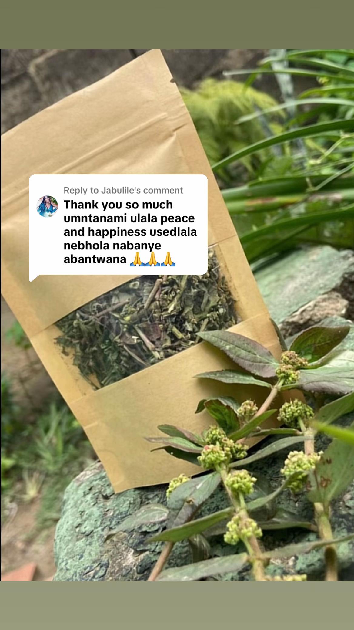 @Asthma-plant_herbalshop