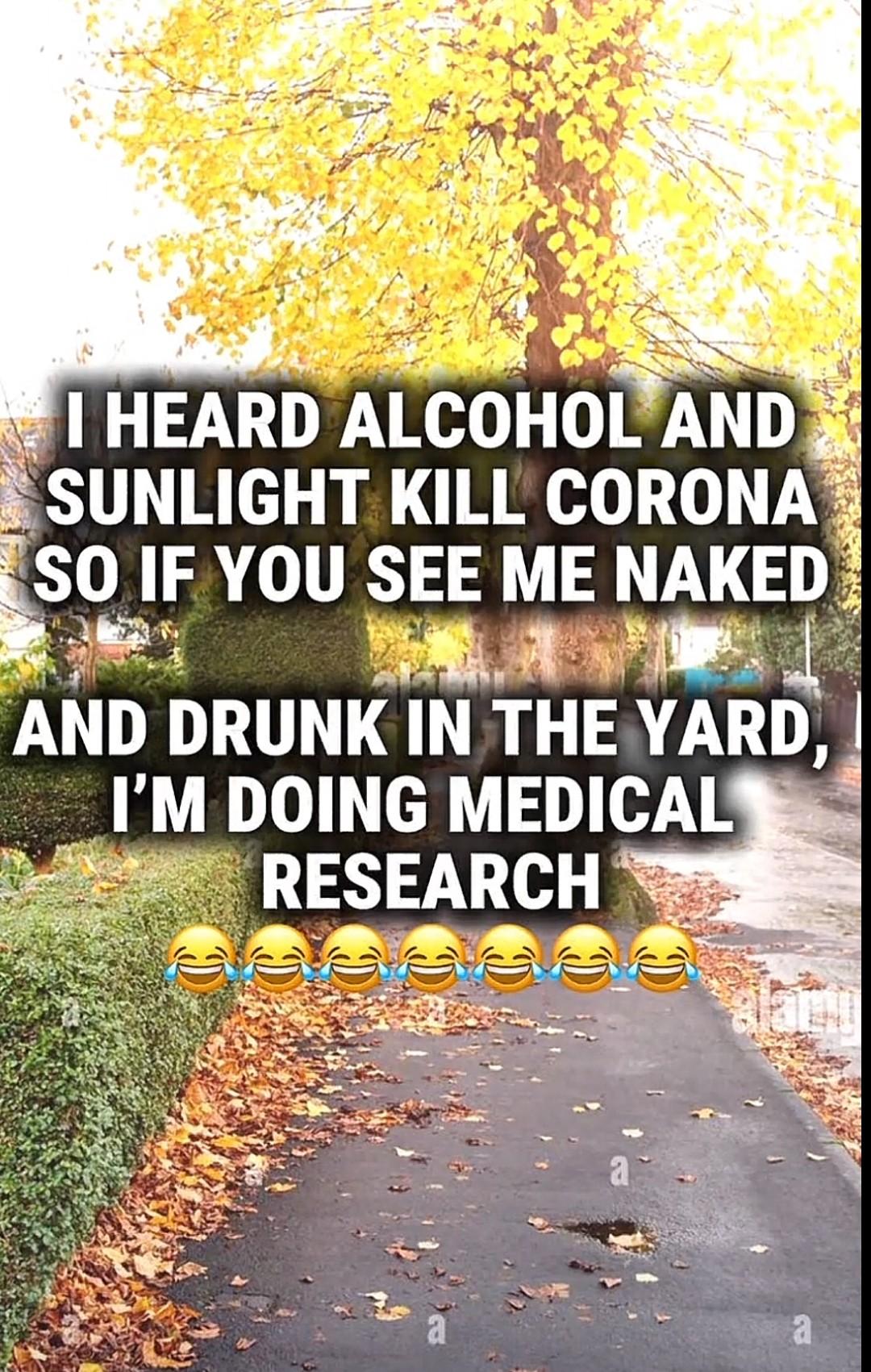 @brianmcvay467