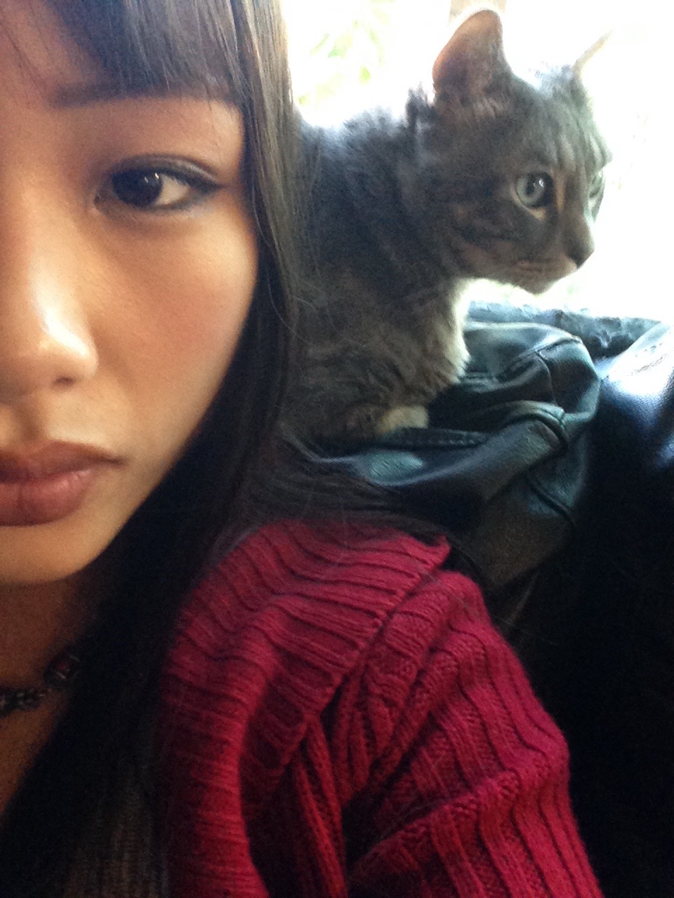 @meowcity