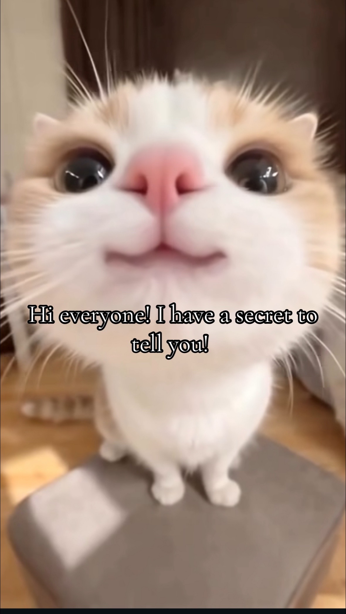 @rylieedenscreations