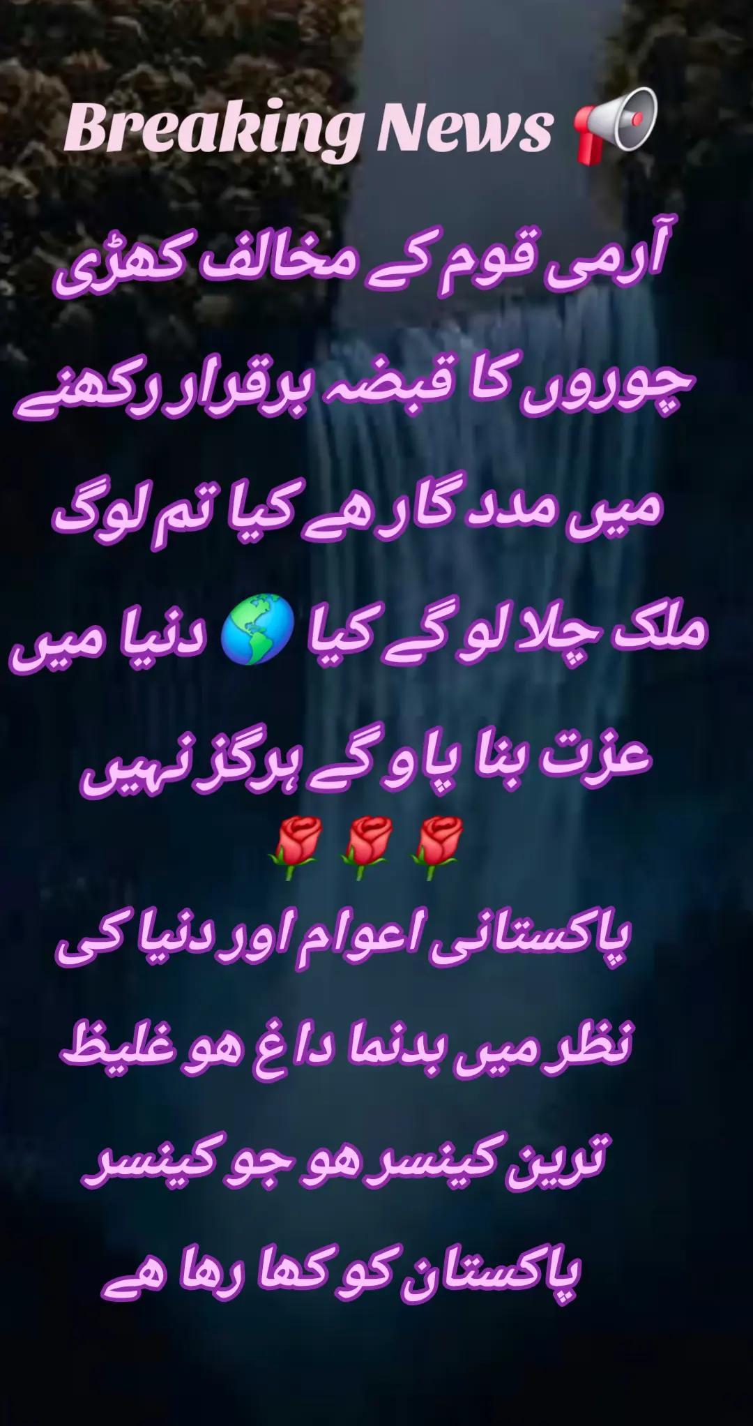@اڈیالہ 804