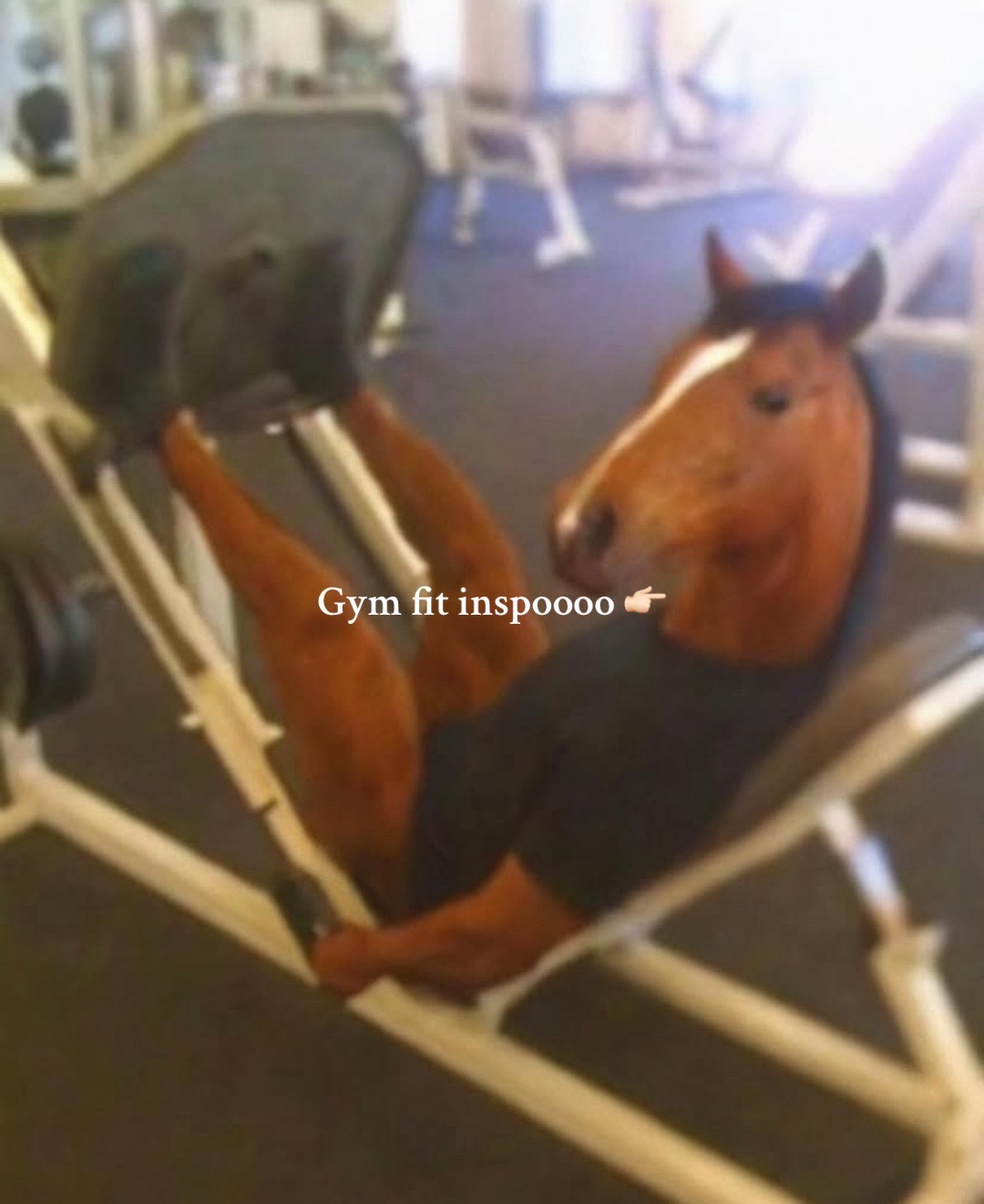 @laurenbeth 🤱🏻🏋🏻♀️📚