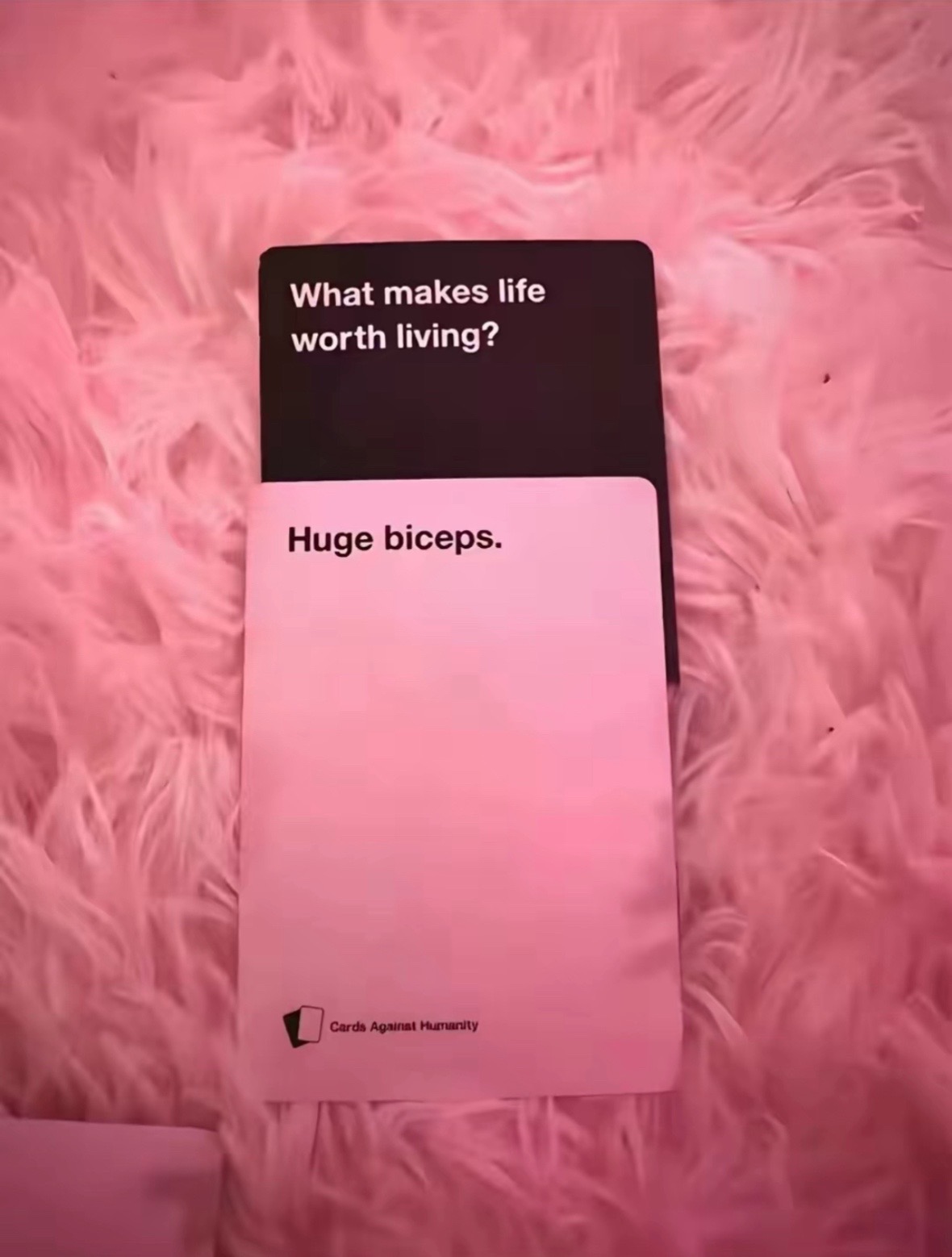 @dylan