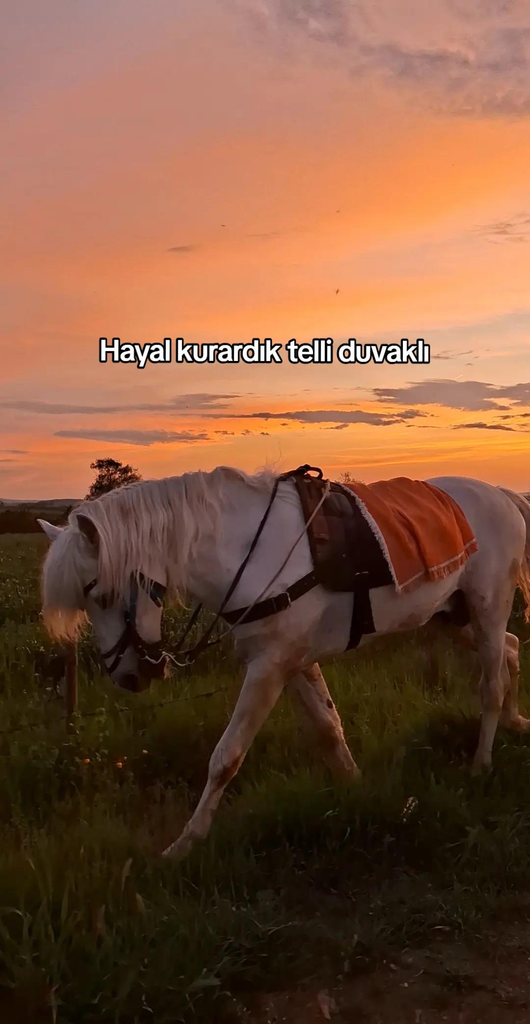 @Yusuf Ünal