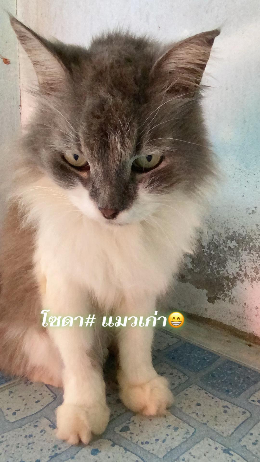 @ป้าข้างบ้าน🙄🙄