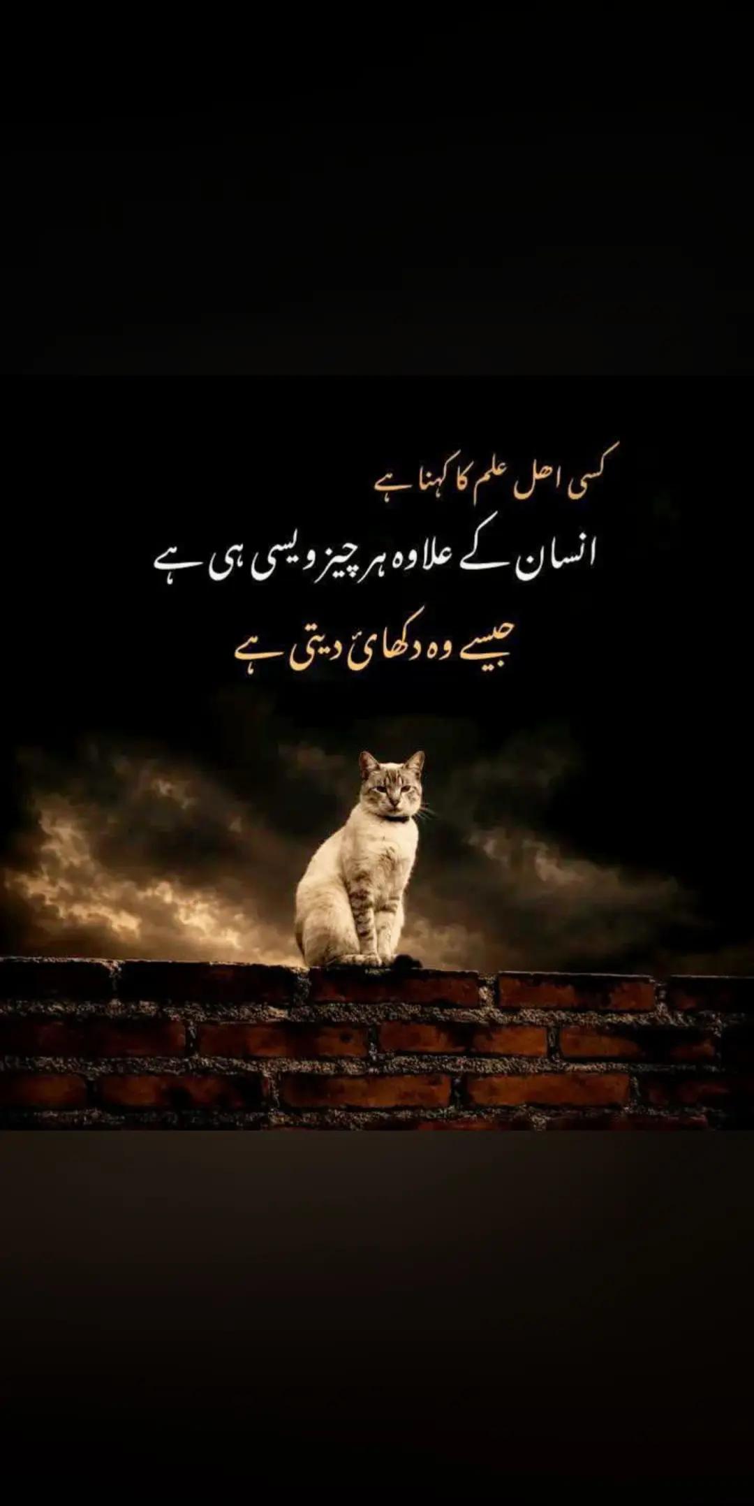 @Mudasar