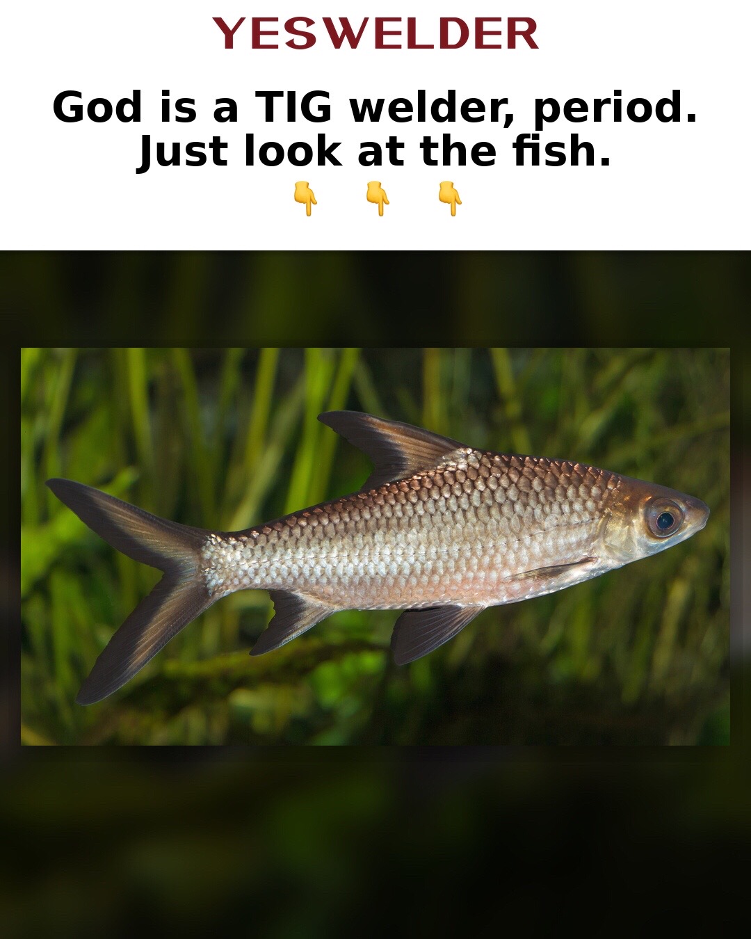 @YesWelder