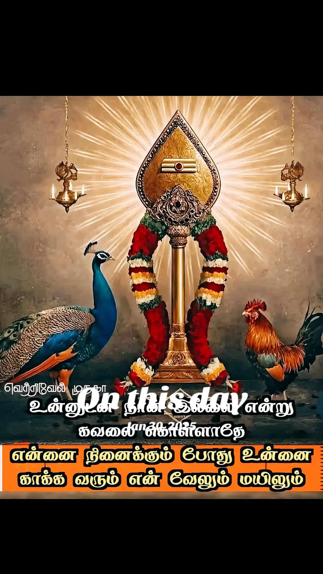 @prabhakaran 9715