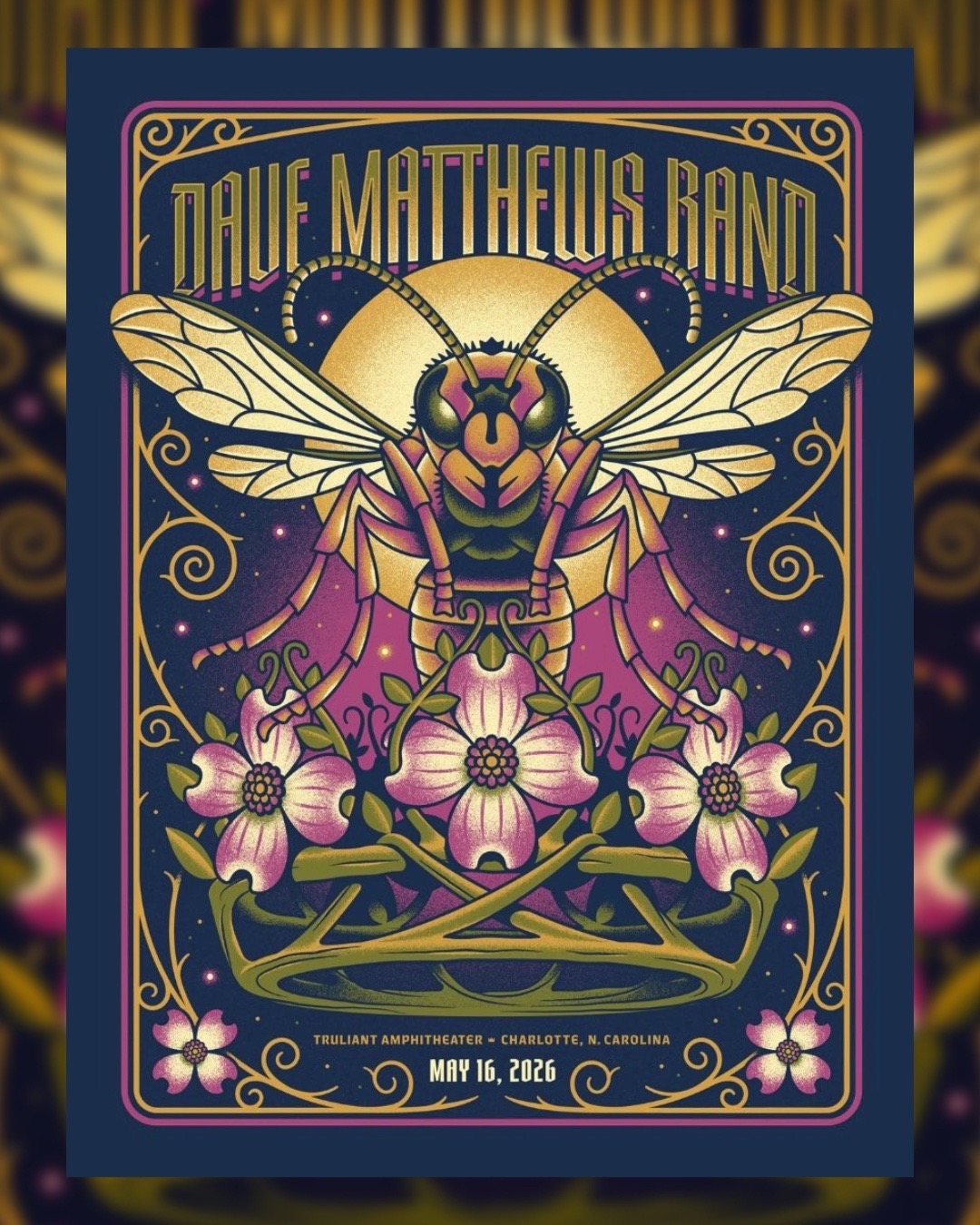 @DMB Gorge Crew