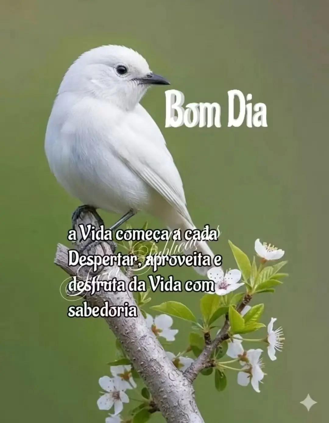 @Joaquim Antas