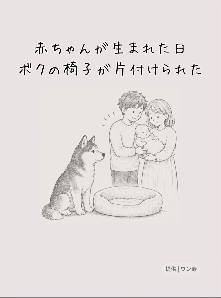 @ワン寿 | taro