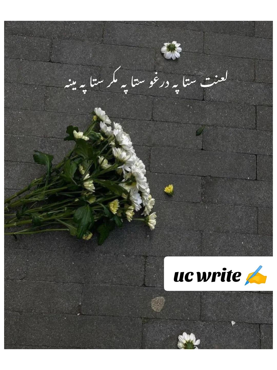 @🤴ᎩᎧᏬᏕᏗᎦ آفــــــــــریدی🌸