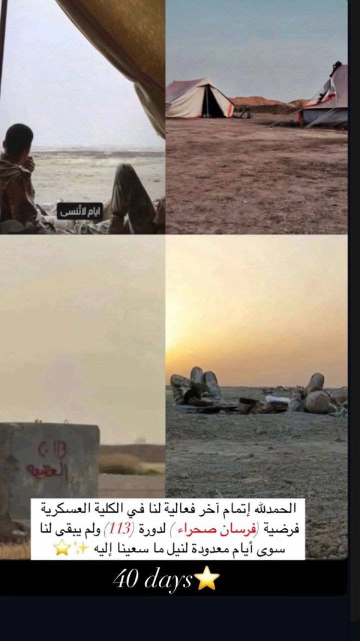@محمد يحيى
