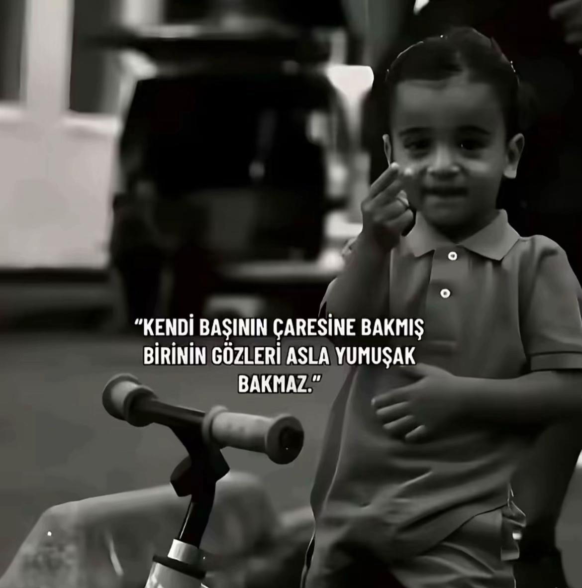 @berkaydulger