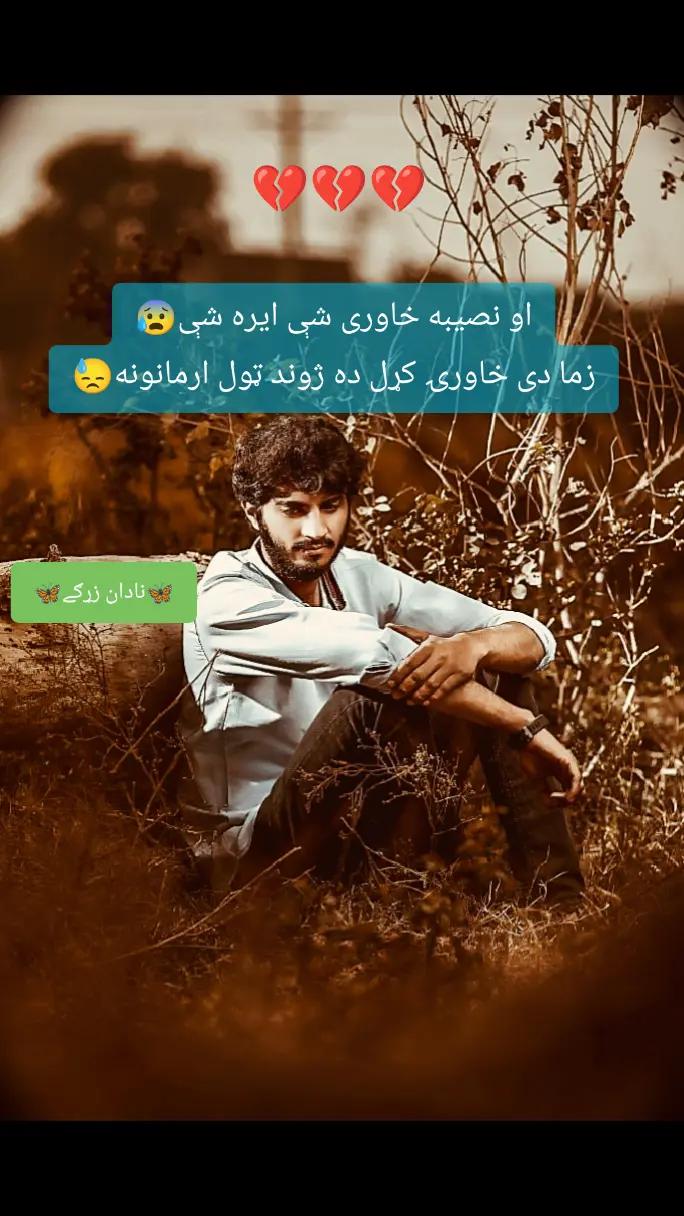 @🌷🦋 غمجنی ٹپی 🦋🌷