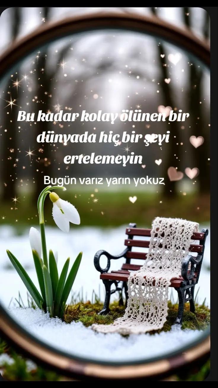 @Fatma Bolat
