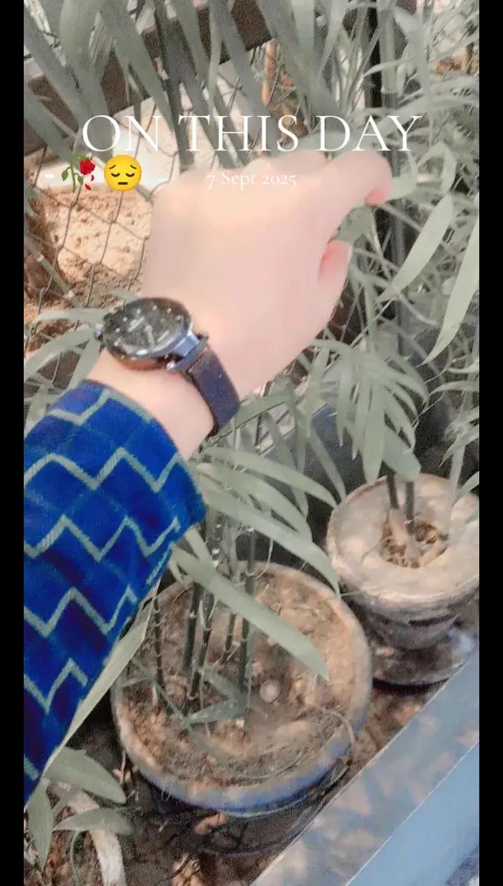 @alone 145