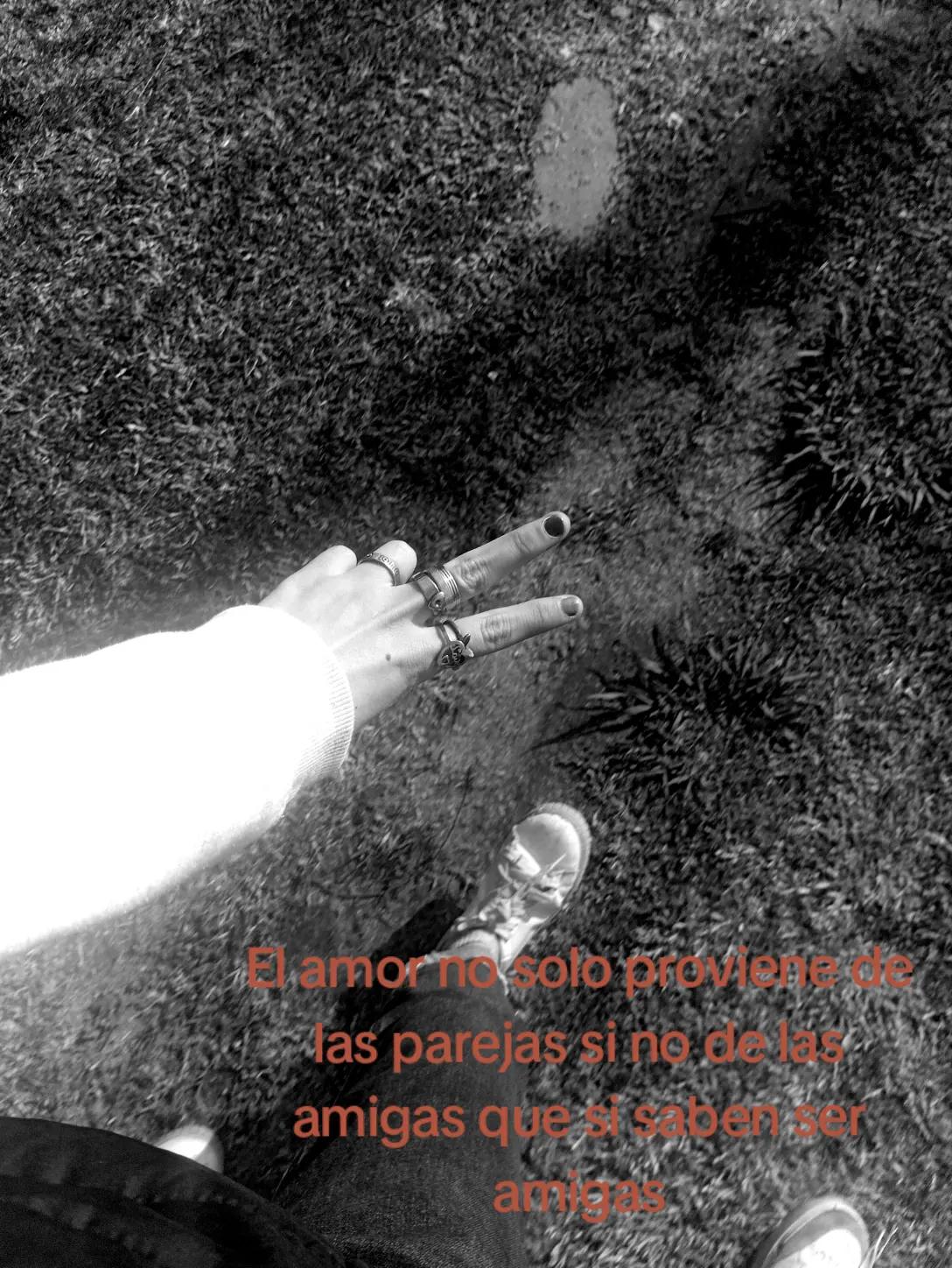 @๐ฌ๐๐๐๐๐๐๐๐__
