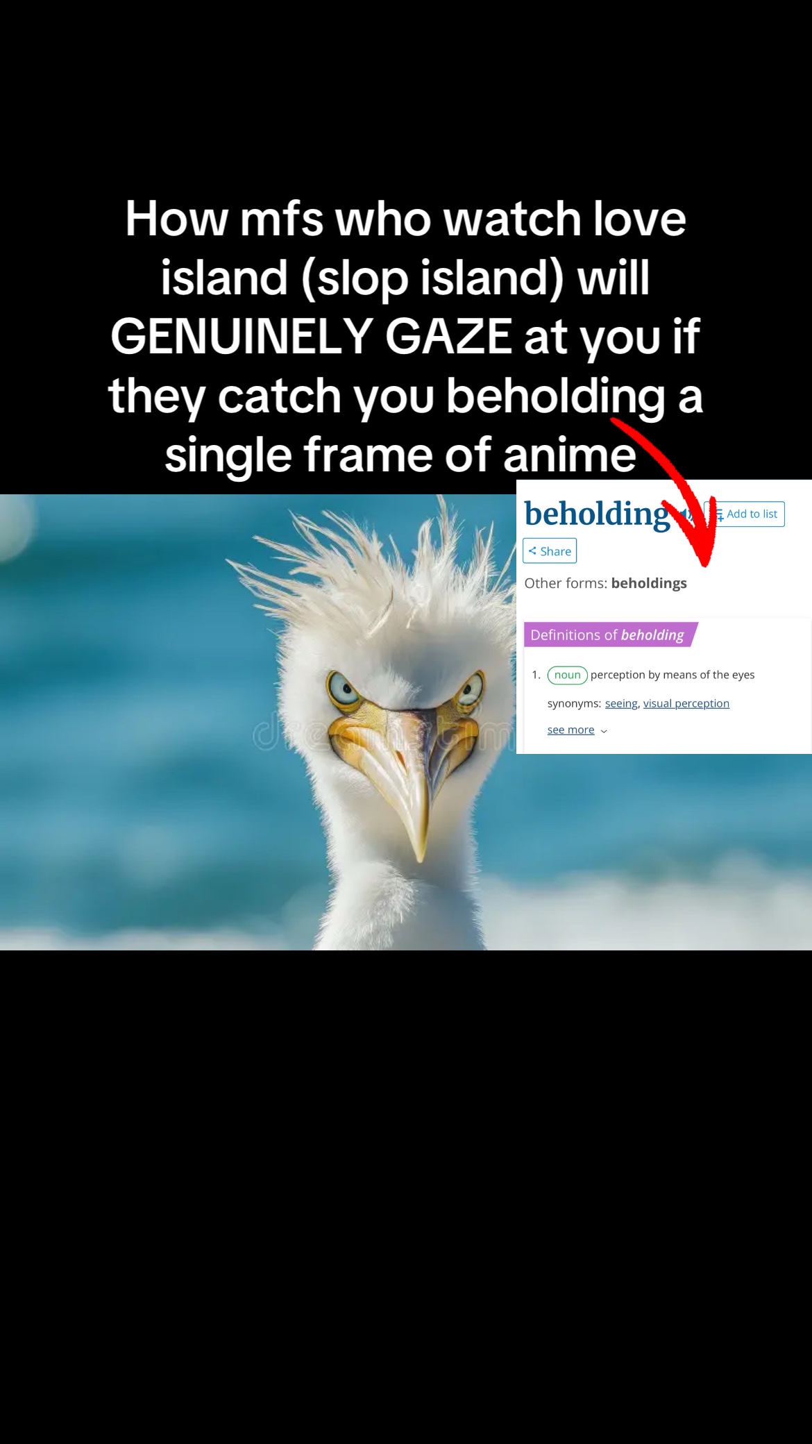 @Mr Meme