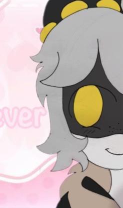 @˚₊ 𝖪 (𝖭’𝗌 𝗄𝗂𝗍𝗍𝗒) ໒꒱‧₊˚