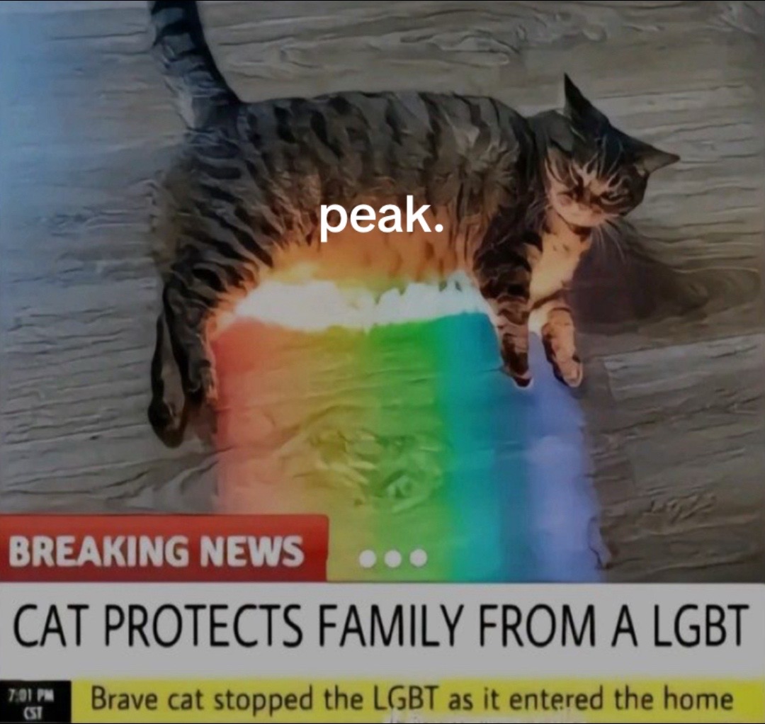 @likelyfish
