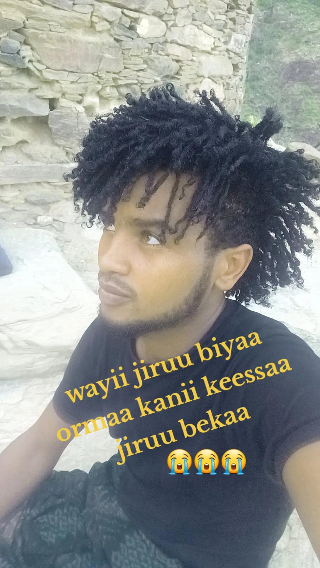 @shuguxii king