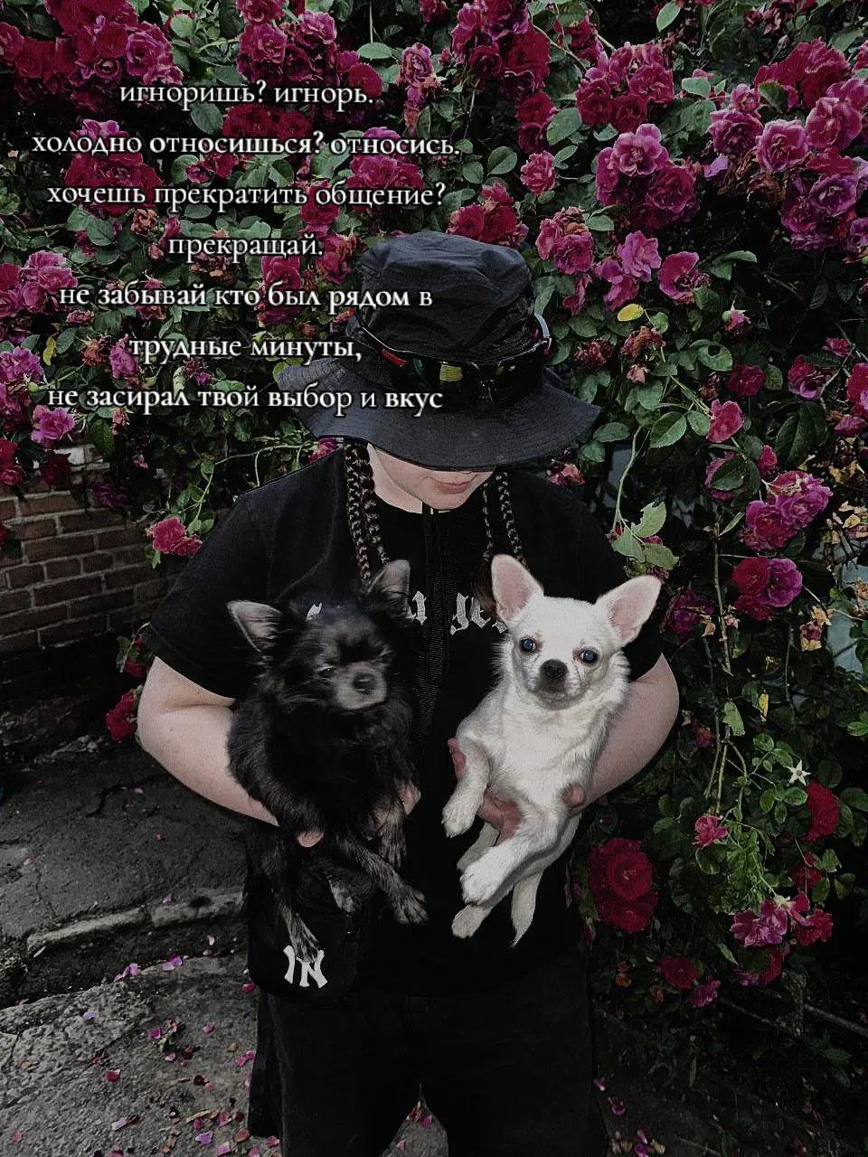 @𝖔𝖉𝖆 𝖉𝖔𝖟𝖆