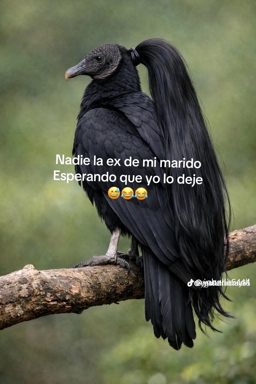 @Maria Aguilar