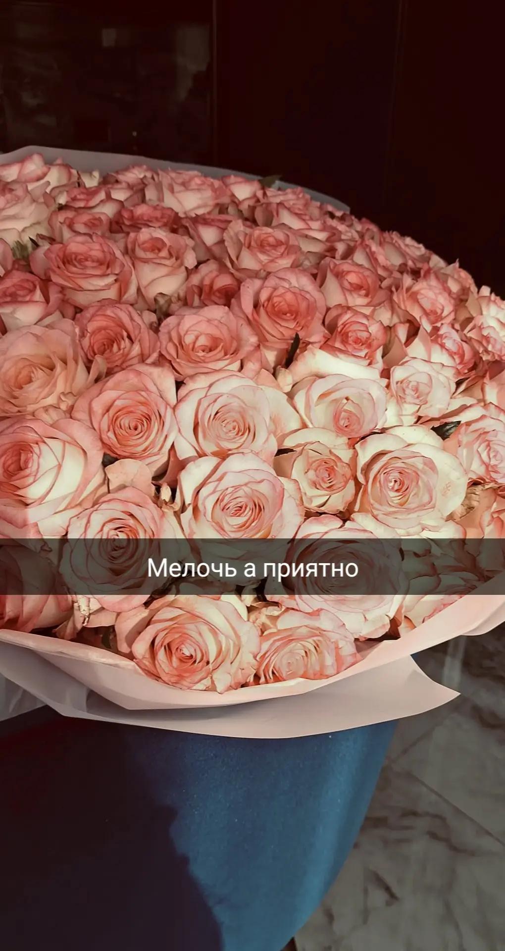 @en.nnᥫ᭡