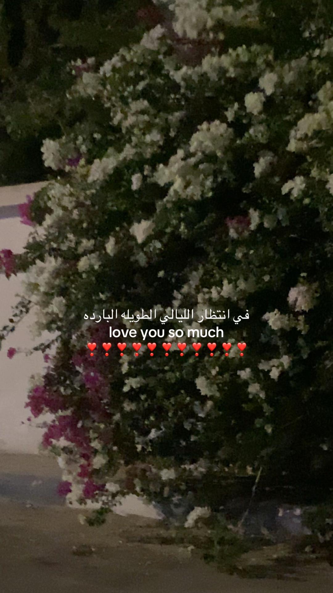 @جواهر العنزي