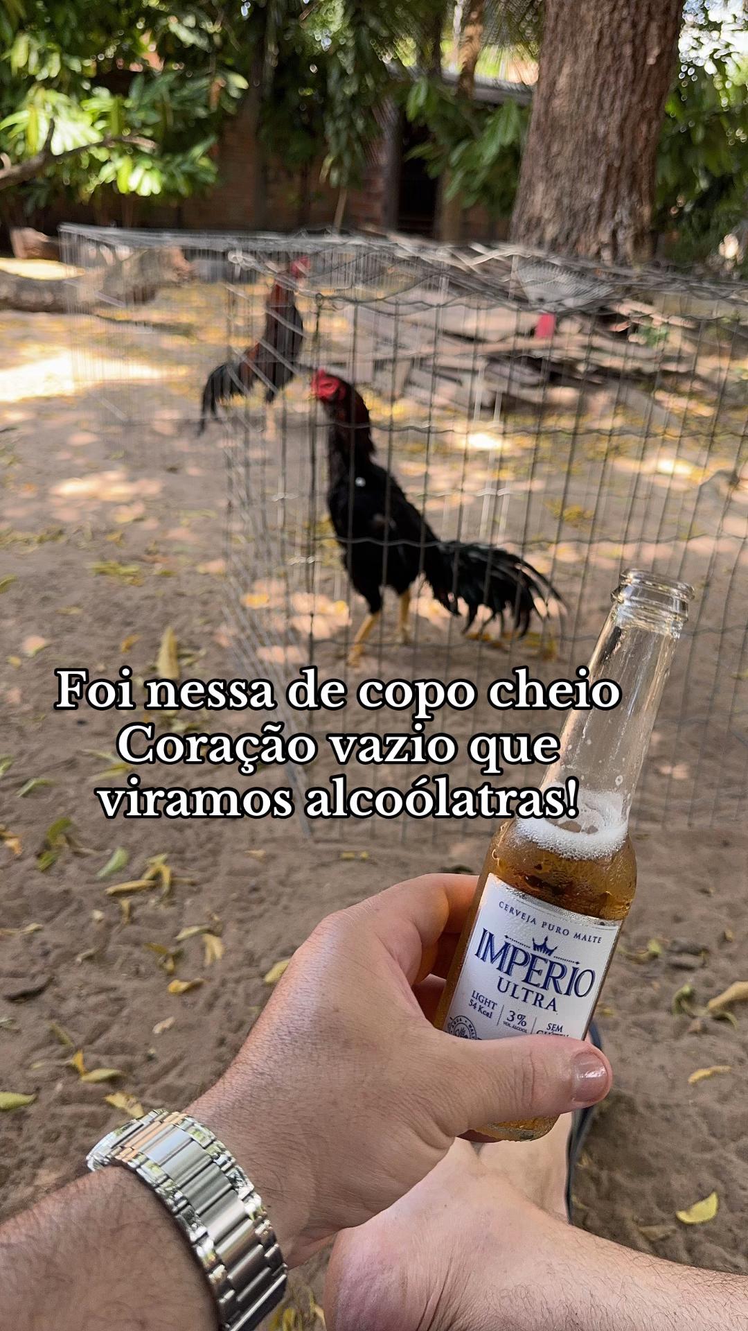 @Pedro Jorge filho
