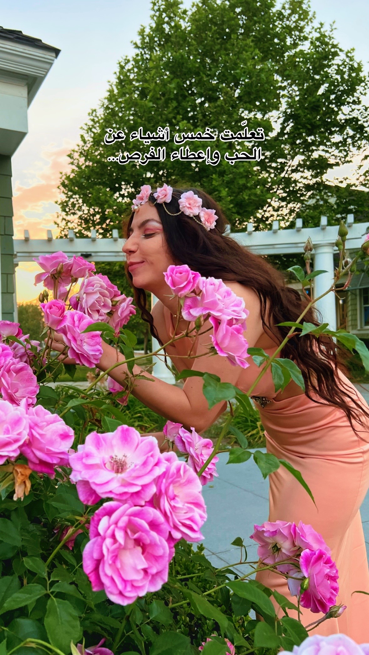 @Randa Zarka | 🌹رندة