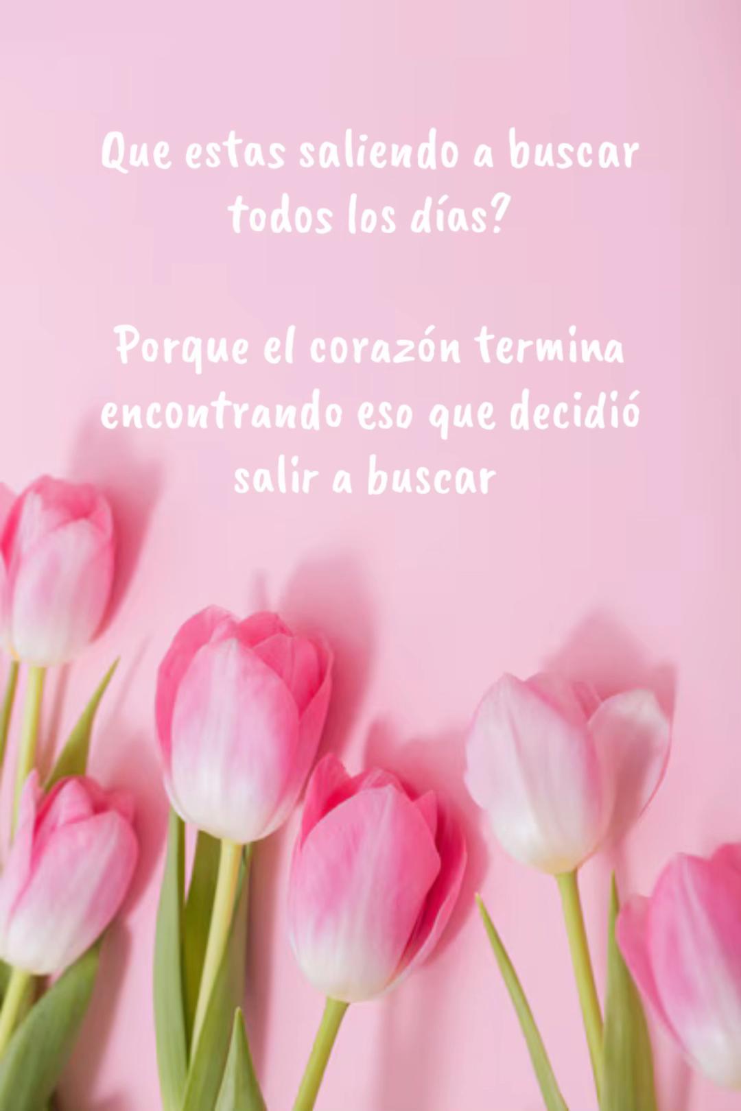 @Carli💖