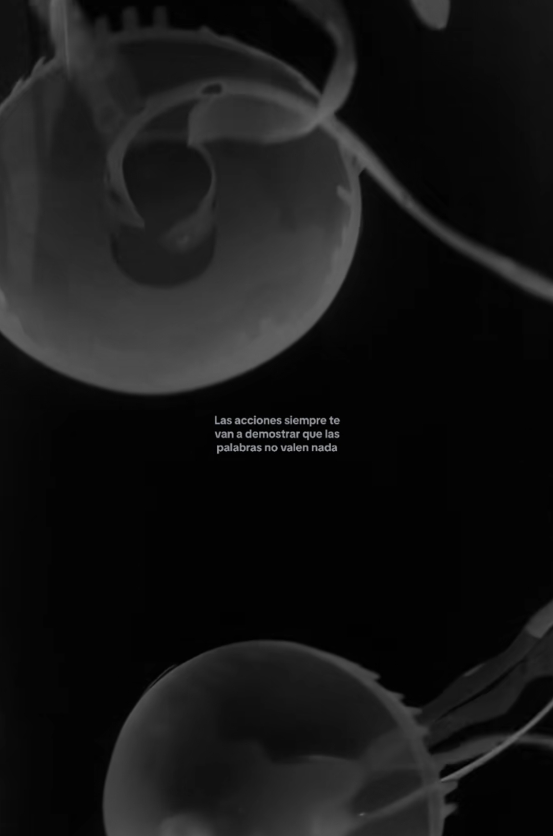 @𝐅 𝐚 𝐧 𝐧 𝐲 𐚁