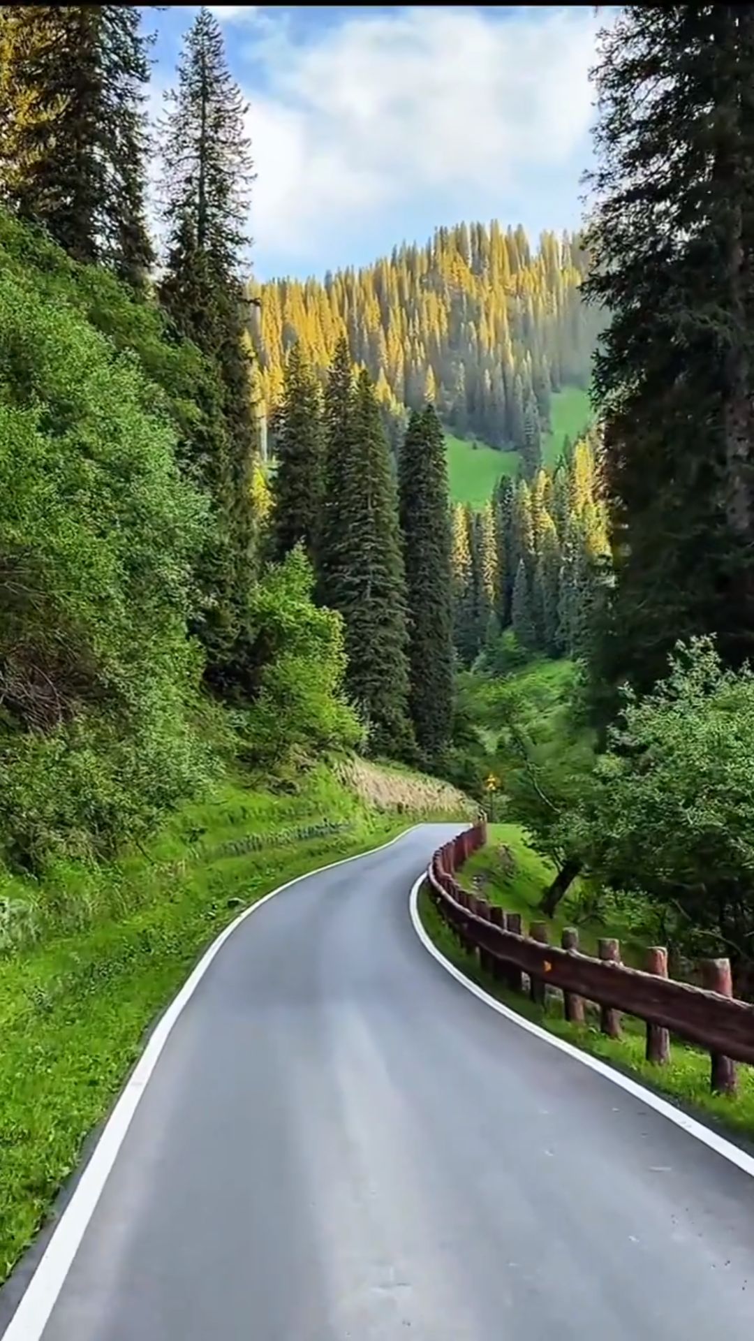 @Dr Neelum Nawaz
