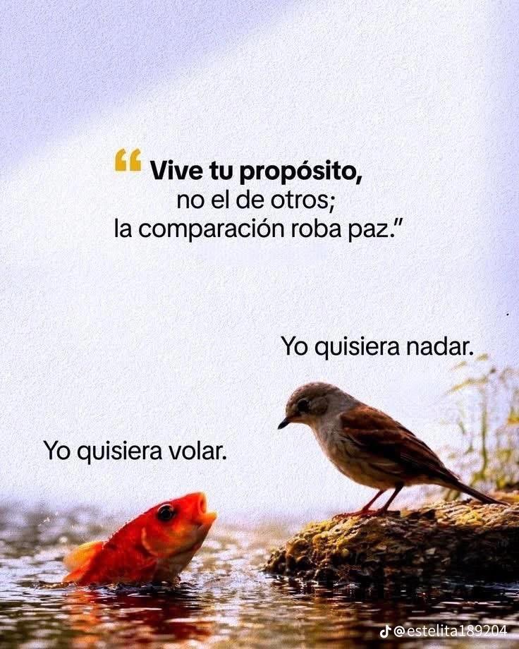 @Reyes
