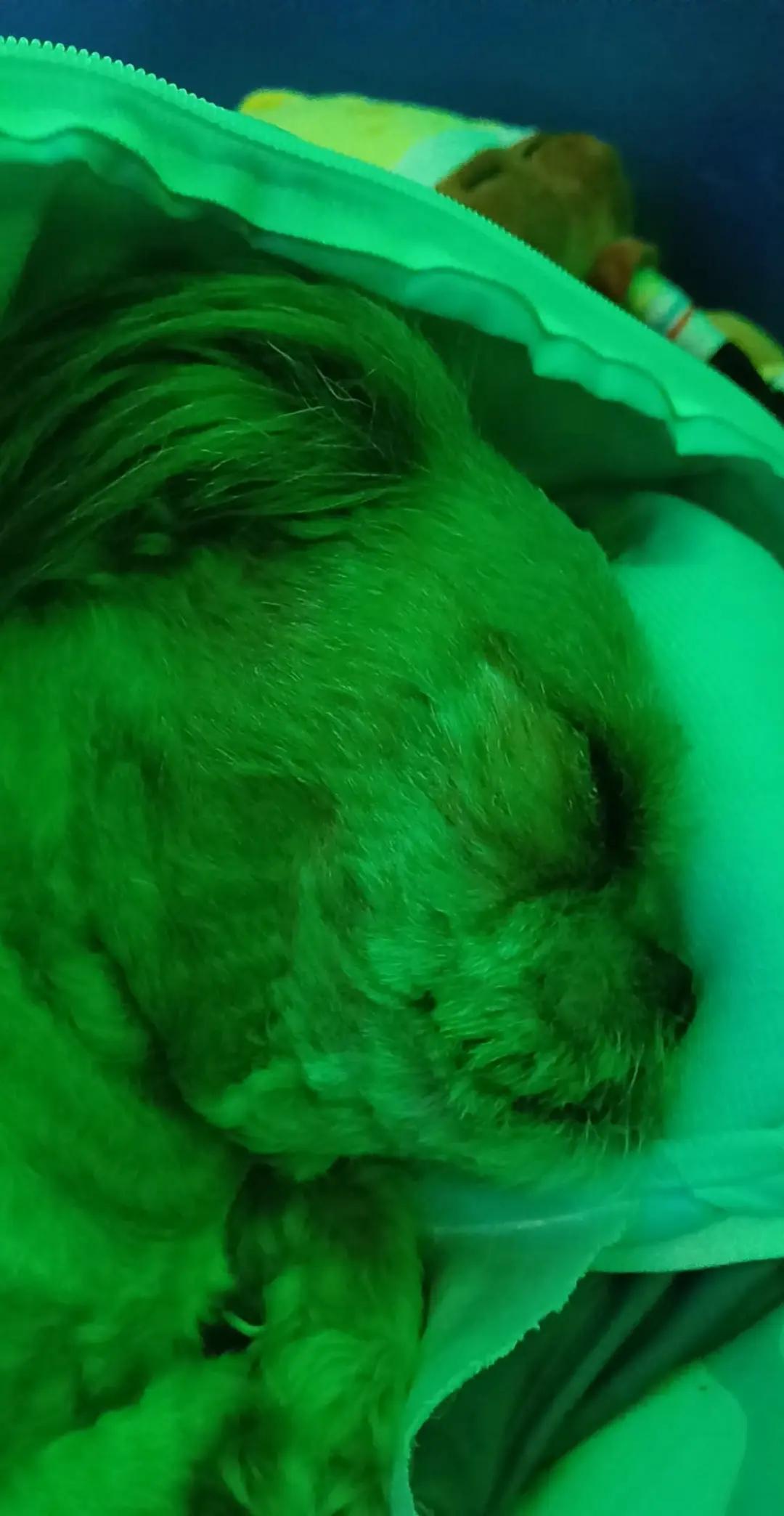 @𝘼𝙪𝙩𝙪𝙢𝙣 green 🟢