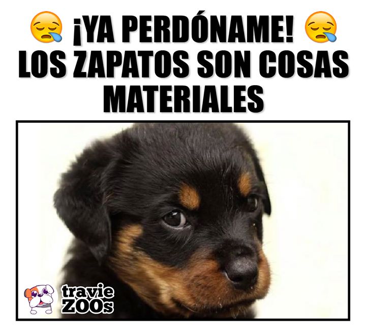 @Pancho Cavero