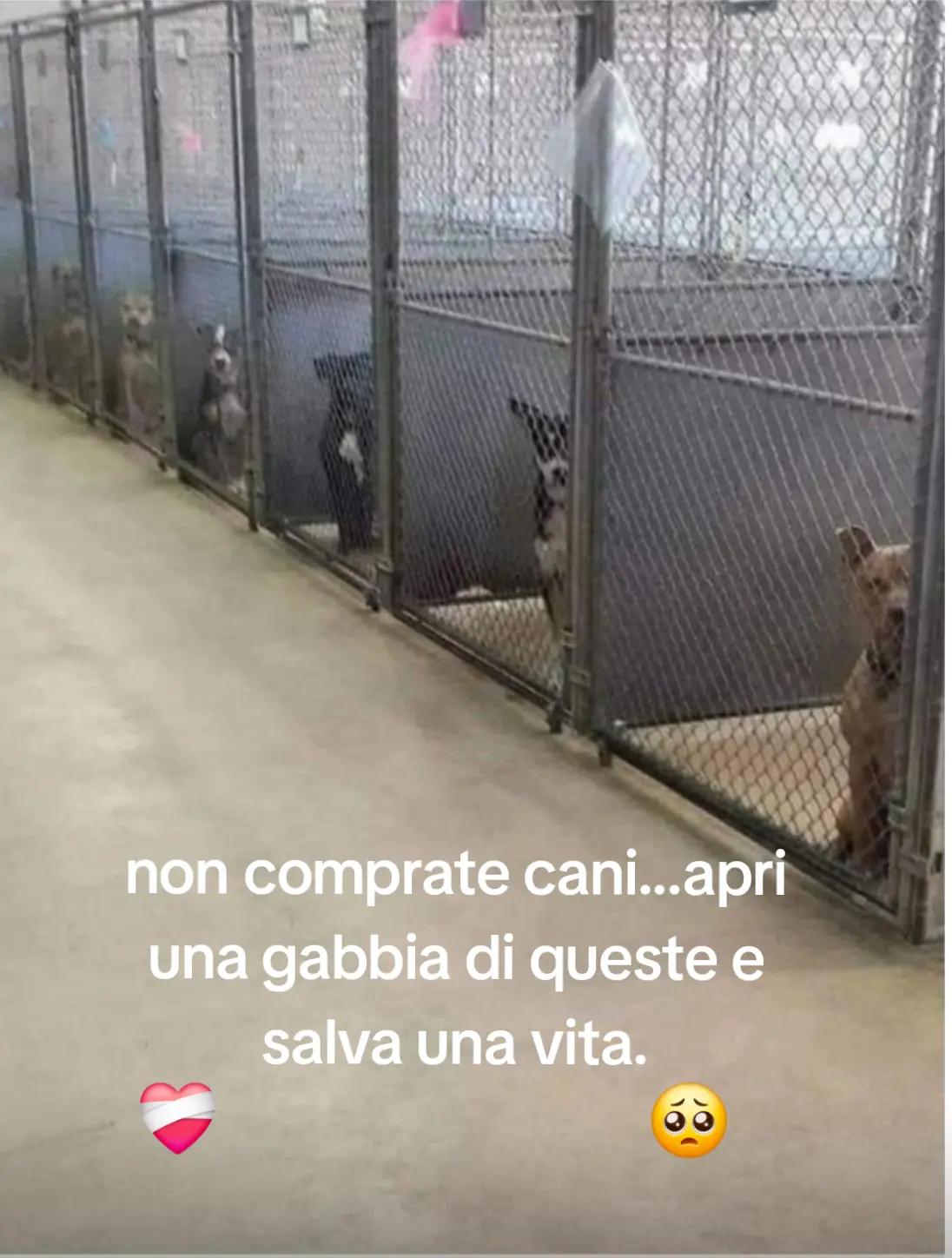 @Massimo e matilde