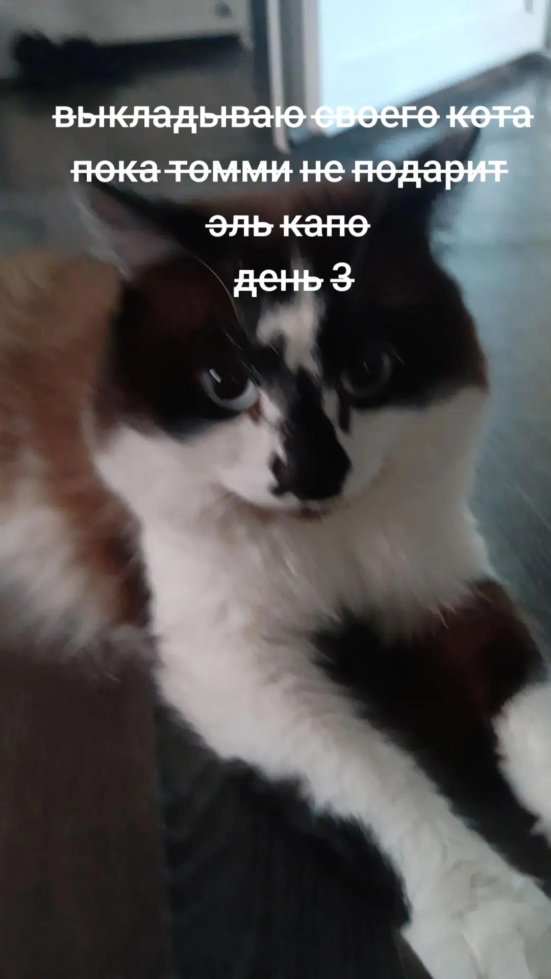 @Кирилл Хахулин