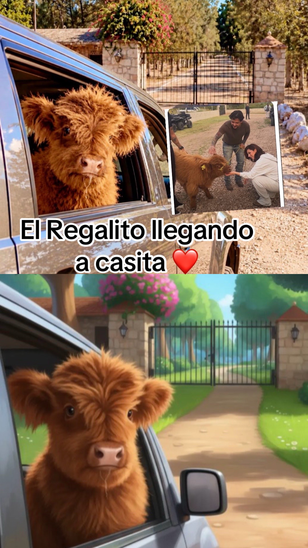 @luzmedina