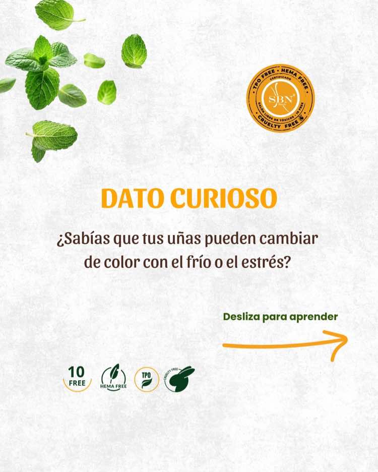 @SBN Beauty Productos de Uñas