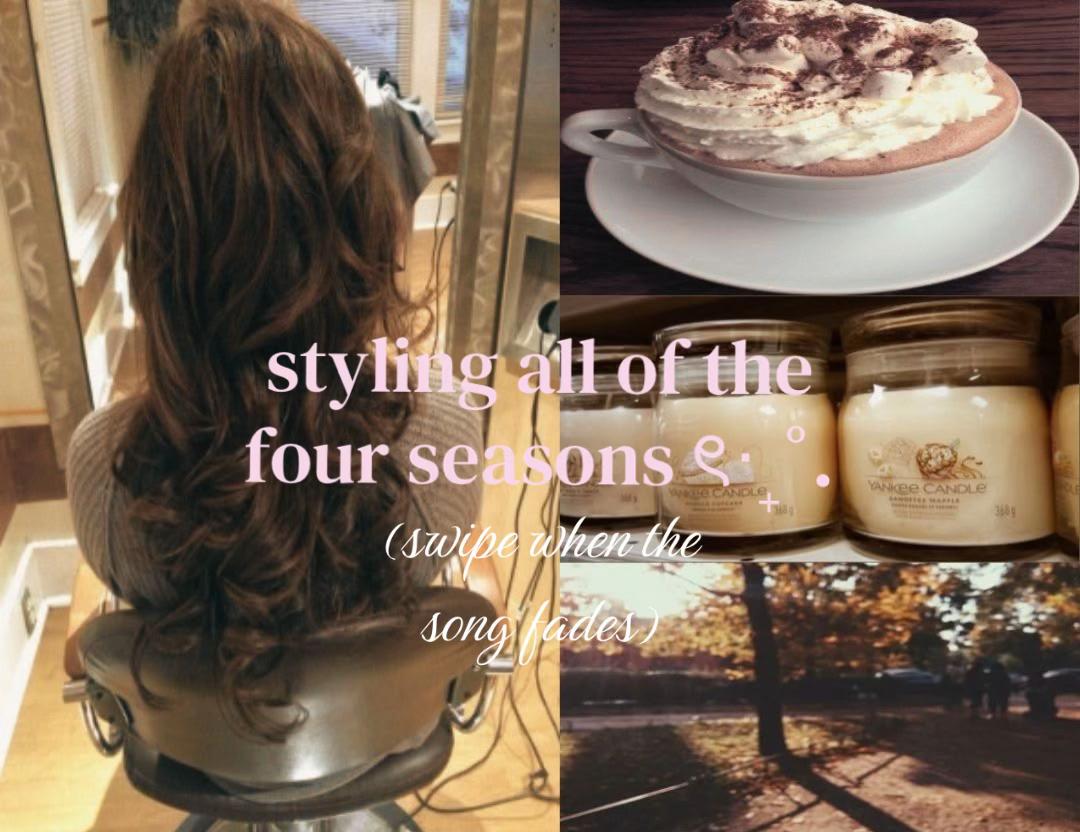 @whimsy brunette ୨ৎ