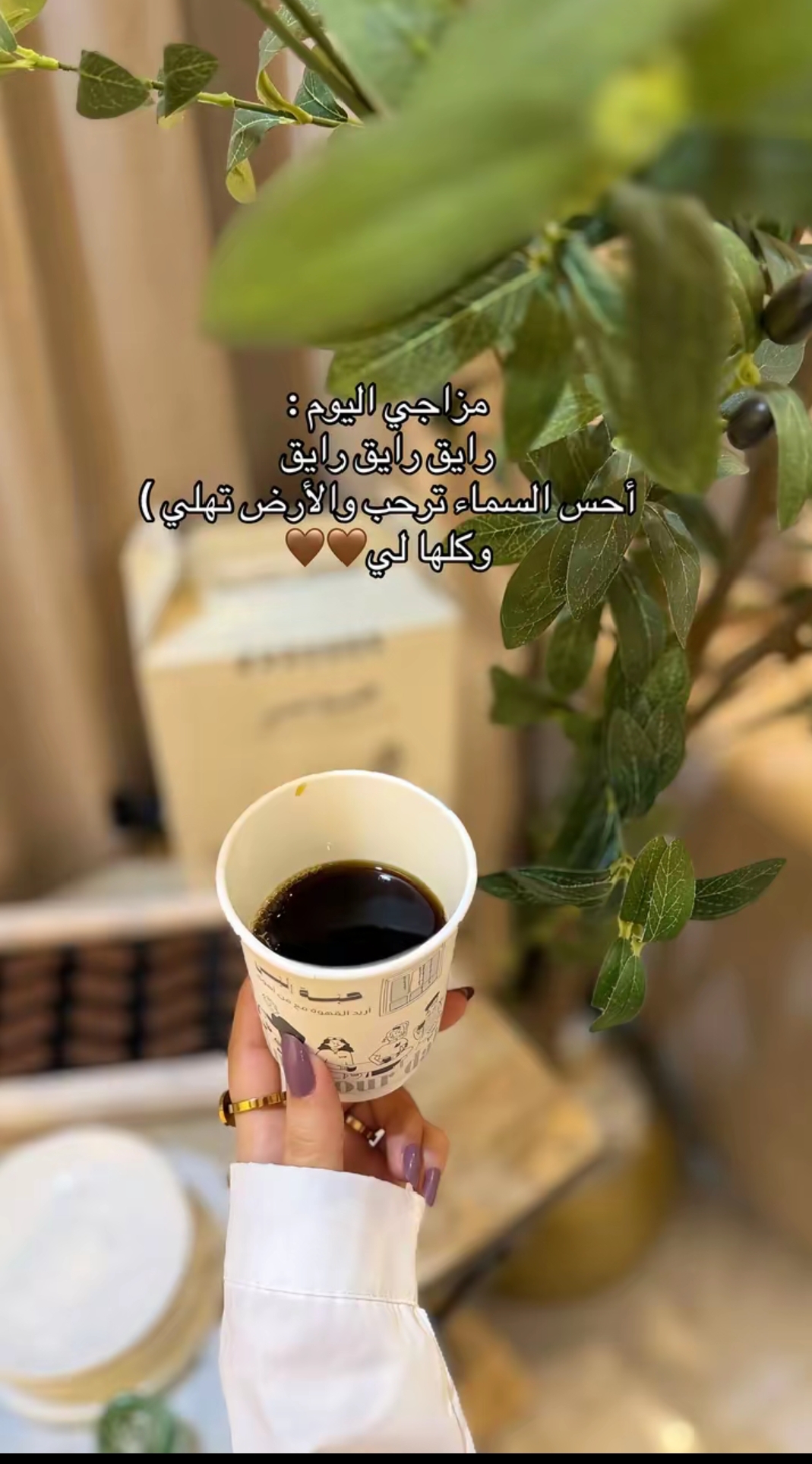 @ضحى ⁞🤍