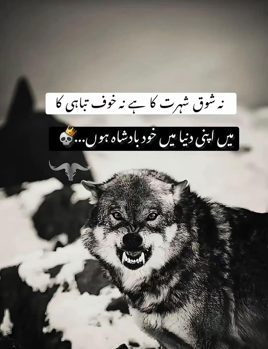 @ððkabir Bhatti 333ðð