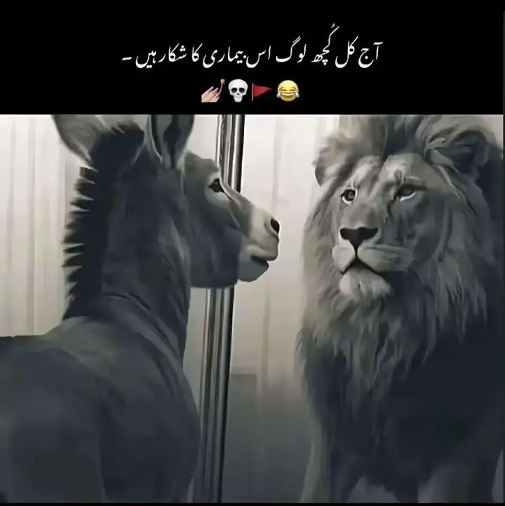 @Faizan ALi ✌️